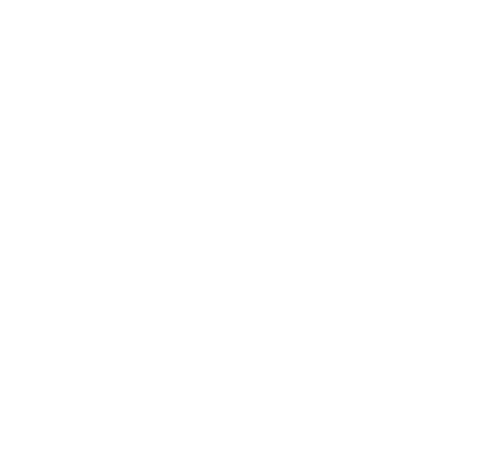 SHS Realty